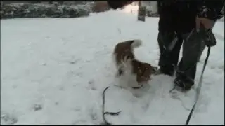 Making for slippery road conditions