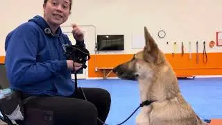 Muzzle Conditioning