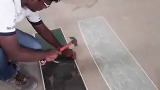 Roller bay and local bowTesting Tempered Glass