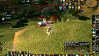 wow paladin level 80 pvp retry