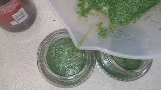 How I preserve garden mint, mint sauce 😋