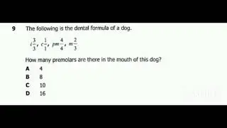 BIOLOGY 2022 P1 ECZ -(DENTITION) - DENTAL FORMULA