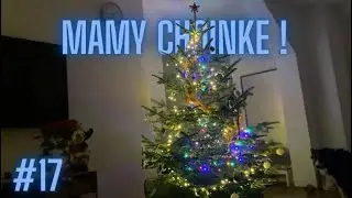 Mamy choinkę 🌲! | VLOGMAS #17