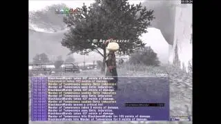Warder of Temperance BST Solo