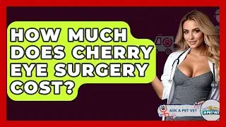 How Much Does Cherry Eye Surgery Cost? - Ask A Pet Vet