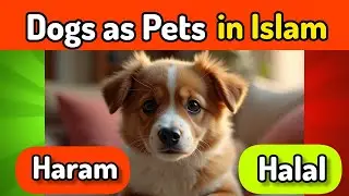 Dogs as Pets in Islam 🐶 Halal or Haram? Shocking Truth! 😱❌