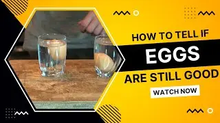 Как определить, что яйца ещё годны к употреблению