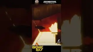 Shorts, Bionic Bay-Dive