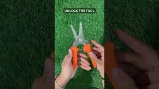 Mastering the Art of Pruning #naturegold #garden #gardeningmadeeasy #agriculture #greenthumb