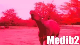 Roudolph The Rednose ReindeerMep Part 9 For RideAndCanter