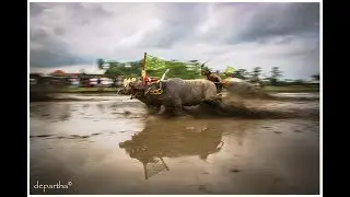 Bali Bull Racing 2017