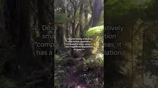 Facts about the West Coast of New Zealand
