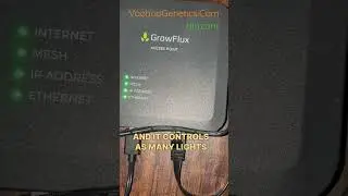 What is the Grow flux Grow light controller?