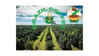 Brazil brews global coffee prices!