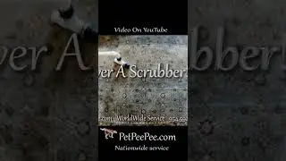 100% Guarantee urine odor removal, no deodorizer or Enzyme,  Only Natural Dead Sea minerals.
