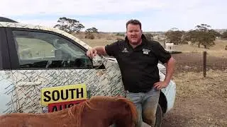 Cosi From South Aussie's Stratco Farm Shed - 30 seconds
