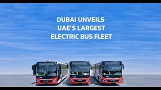 Dubai unveils UAE's largest electric bus fleet