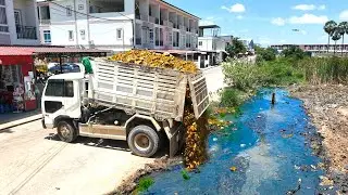 Ultimate Operating Of Skillful Cutting Slope, Cleaning Garbage Use Dozer D31P & Truck5T Unloading