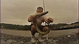 How to Catch Huge EELS