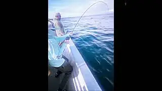 Fishing edit 