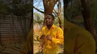 Batsirai Shasha - Handina Bakatwa (Visualizer)