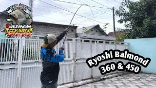 Ryoshi Balmond 360 & 450 Tegek Review || We tortured it with a 664 gram weight