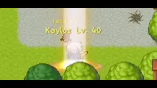 Sword Of Legacy - LEVEL 40 ! KILLING BOSSES !