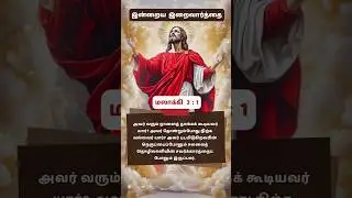 Daily Bible Verse - 02/02/2026 #tamilprayer #rosary #catholicprayer #bible #bibleverse #jebamalai