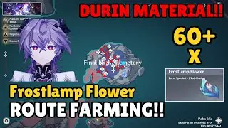 DURIN MATERIAL!! ROUTE FARM ALL Frostlamp Flower! Genshin Impact