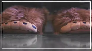Inside Alabama's Bigfoot Paranormal Convention