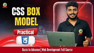 CSS Box Model Practical (Hindi) | Understand Website Layout Like a Pro