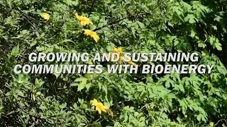 Growing and Sustaining Communities with Bioenergy