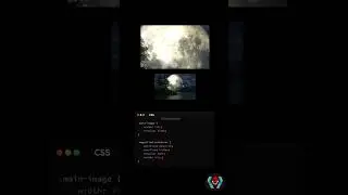 Magnificent using Html and CSS #html #css #viralvideo #todayviralvideo #trendingshorts