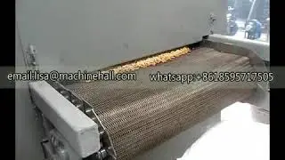 Pine Nut Roasting Machine|Melon Seed Roaster|Sesame Roasting Machine