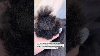 Сырье из которого делаются волосы для наращивания. #vietnamhair #hairsupplier #волосыдлянаращивания