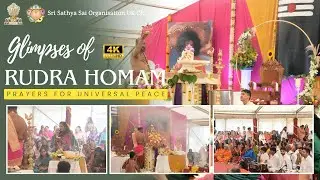 Glimpses of Rudra Homam 2025 | National Prayers for Universal Peace