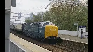 55003 (55022): 5N11 12:53 Shields Depot - Glasgow Works | Springburn (15/05/15)