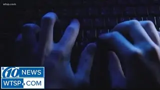 Tampa reviewing cybersecurity after mayor's Twitter is hacked