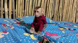 Baby Tav Tav Scream Loud Angry Mom As He Waiting So Long Times