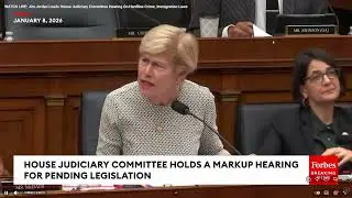 Just Trying To Turn Her Car Around - House Judiciary Committee Hearing 2026-01-08