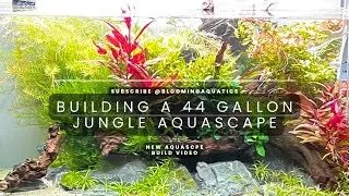 Building a 44-gallon jungle style aquascape