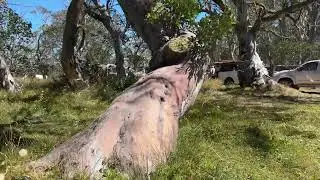 Victorian High Country_Bluff Hut, Lovicks Hut, Upper Jamieson Hut