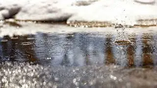 The Promise of Spring