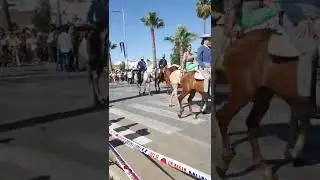 Romeria el viso del alcor 2022