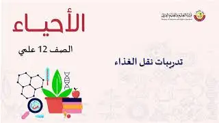 الصف الثاني عشر   المسار العلمي   الأحياء   مراجعة عامة 7 – تدريبات نقل الغذاء