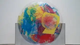 Curator Joan Young on Robert Rauschenberg's 