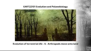 Evolution of Terrestrial Life, Video 6 - EART22101 - Palaeobiology and Evolution - 2025