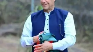 imran khan ka ahm message tiger force | nojwano | Oratoon | k leye ik  ahm pegam |..