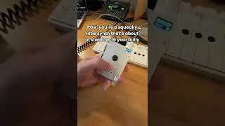 squeaky but strong #synth #music #producer #sounddesign #electronic #edm #ableton #flstudio #fun