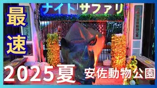 【広島市安佐動物公園】2025年も納涼ナイトサファリがやってきた‼️